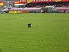 20111204_10.jpg