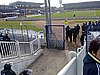 20120317_28.jpg