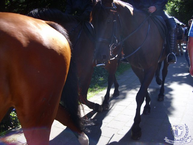 20120724_02.jpg