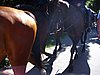 20120724_02.jpg
