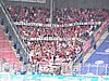 20170729_10.jpg