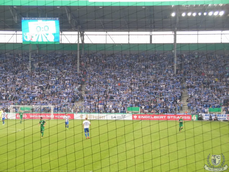 20170813_01.jpg