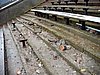 20050212_08.jpg