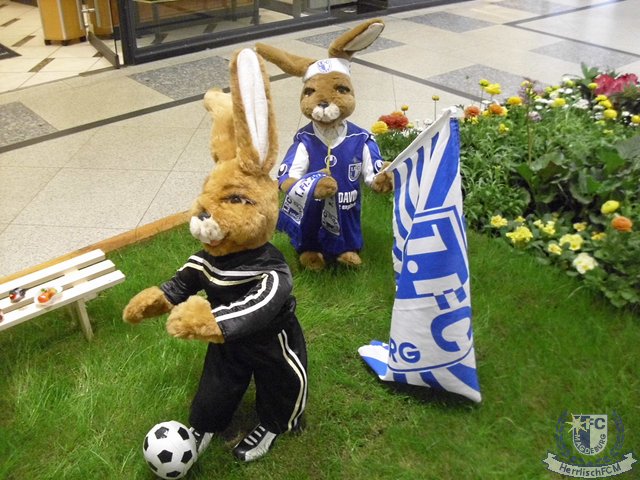 20110415_01.jpg